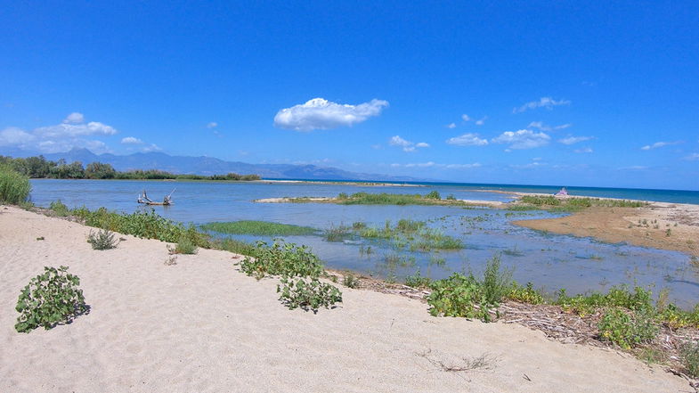 Raccolta dei rifiuti marini nella riserva della foce del fiume Crati: il 60% è plastica