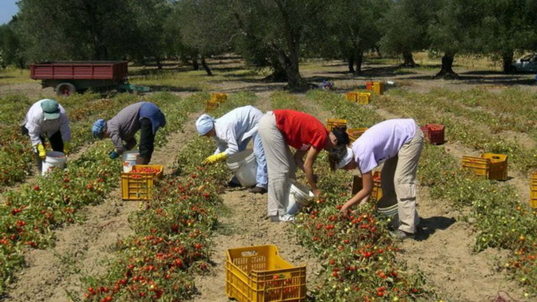 Emergenza caldo, per Cgil e Fillea Calabria: «Bene l'ordinanza, ma controllare che venga rispettata»