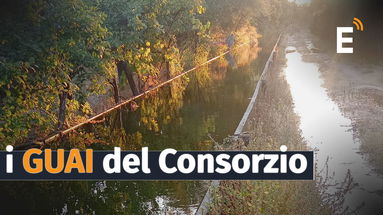 Le acque del Consorzio, tracima la condotta irrigua e allaga Palazzetto: danni ad abitazioni e colture - FOTO