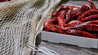 A Schiavonea si apre il Festival del Gambero Rosso per educare a mangiare il pescato locale