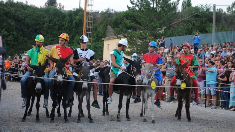 Laino Borgo si prepara al grande evento identitario del “Palio Cu i Ciucci” 