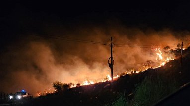 Brucia il Pollino, vasto incendio a Plataci: operativi tre canadair