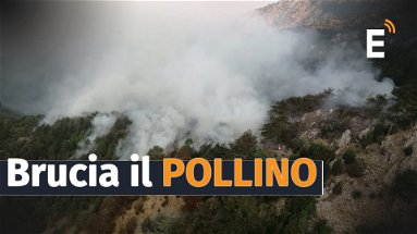 Colpito il simbolo del Pollino: fiamme sulla Serra Dolcedorme. A rischio i Pini loricati