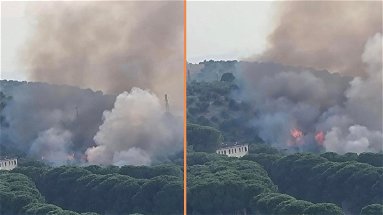 Un incendio minaccia lo storico complesso delle Terme di Spezzano albanese