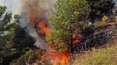 Vasto incendio nell'Alto Jonio: salvata un'anziana. In azione due canadair