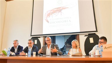 Oicofobia e programmazioni estive drogate, Montesanto: «Sprechi milionari nei Comuni»