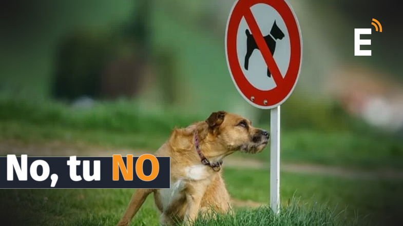 Il turismo a Corigliano Rossano non è pet friendly