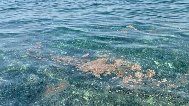 Mare Mostrum, impietosi i dati di Legambiente sui reati ambientali che colpiscono il mare calabrese