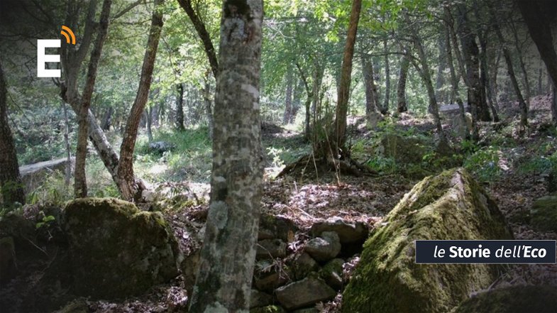 Il mistero dei megaliti nel bosco di Castroregio