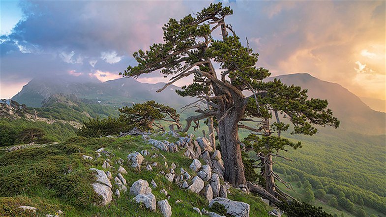 Il Parco Nazionale del Pollino riconfermato nella rete dei Geoparchi Europei e dei Geoparchi Unesco