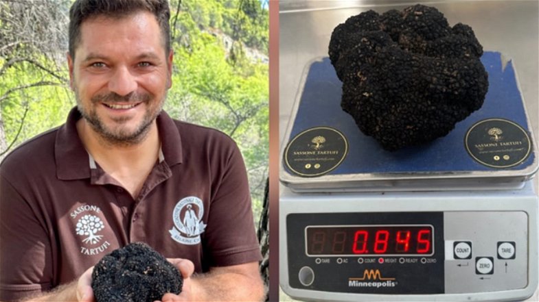 Record in Calabria: trovato un tartufo di 845 grammi nel cosentino