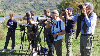 Ritorna l’Eurobirdwatch, il più importante evento europeo dedicato al birdwatching