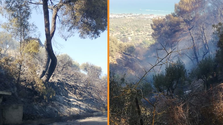 Incendio a Trebisacce sotto controllo ma resta attivo il monitoraggio dell'area