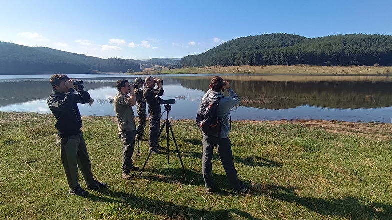 Eurobirdwatch 2023 nel Parco della Sila, lo spettacolo degli uccelli selvatici e delle migrazioni