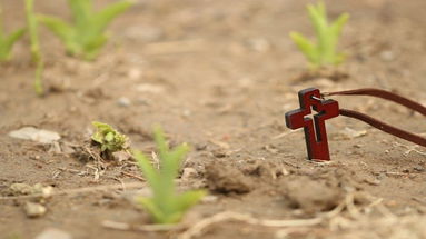 Nella Diocesi di Rossano-Cariati parte l'Ottobre missionario