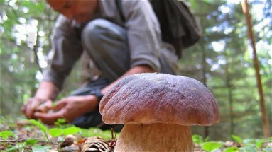 Il fungaiolo di Co-Ro è vivo: ritrovato dopo tre giorni di ricerche