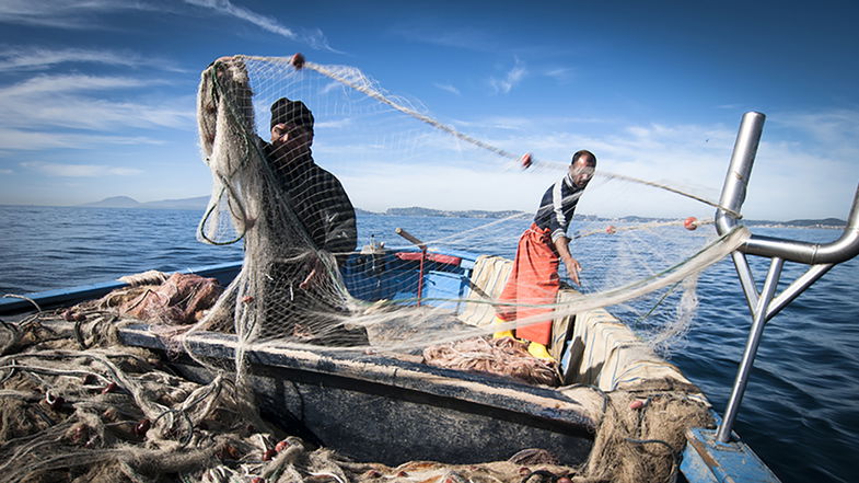 Cooperativa Pescatori Artigianali sulle condizioni disastrose del comparto: « È anche il risultato dei “senza vergogna”»