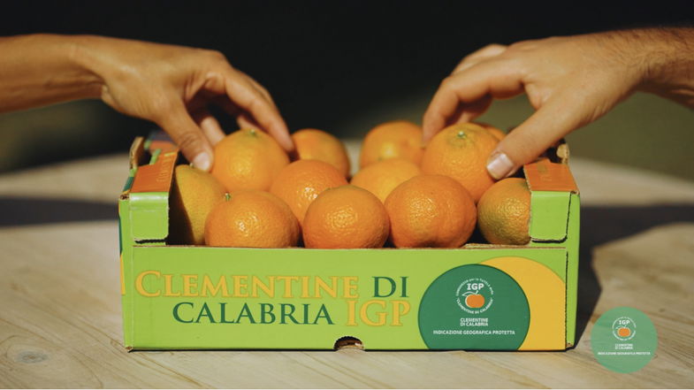 Uno spot Rai celebrerà le clementine IGP di Calabria