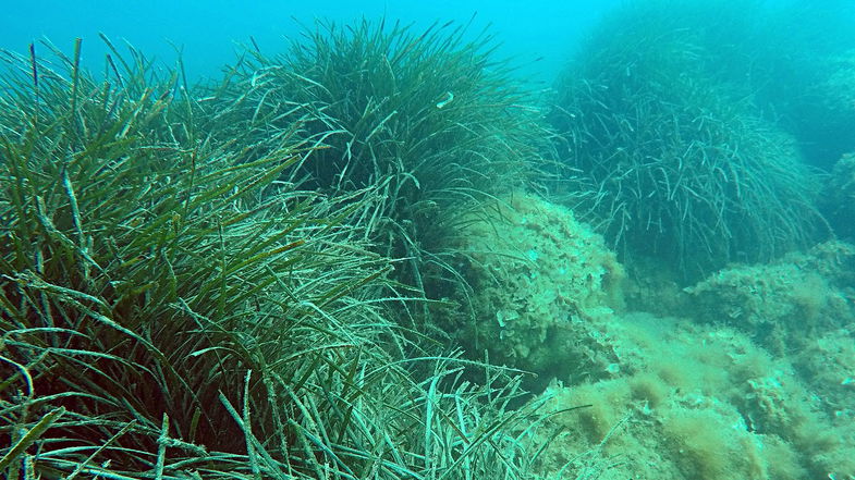 Montegiordano installerà dissuasori in mare contro la pesca a strascico 