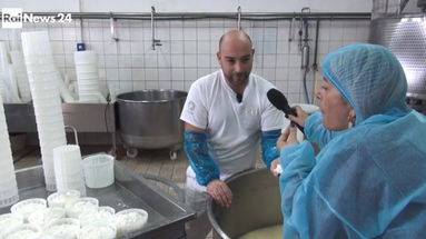 Le telecamere di RaiNews24 alla ricerca dei sapori del Pecorino crotonese DOP