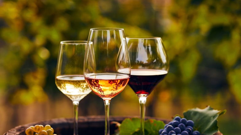 Laino Borgo, piazza Navarro si trasformerà in un grande salone del vino