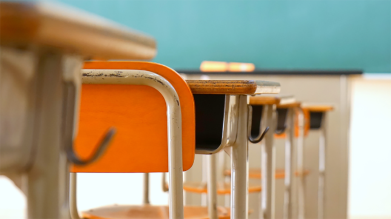Dimensionamento scolastico, Tavernise (M5s): «Apportare i giusti correttivi e superare le contraddizioni»