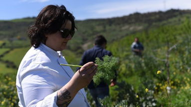 Un raggio di sole all'Epifania: Chef Melania è in netta fase di ripresa