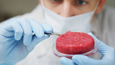 Carne coltivata, nell'Unione Europea c'è una maggioranza qualificata per lo stop