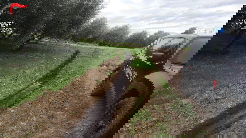 Scaricava reflui nel fiume Nicà, sigilli ad un frantoio di Terravecchia