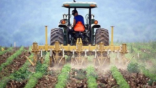 Le famiglie spendono di più, ma gli agricoltori sono sottopagati