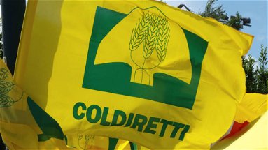 Coldiretti, in Calabria esenzione Irpef per il 95% delle aziende agricole e coltivatori diretti