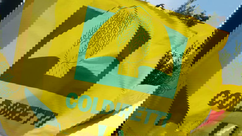 Coldiretti, in Calabria esenzione Irpef per il 95% delle aziende agricole e coltivatori diretti