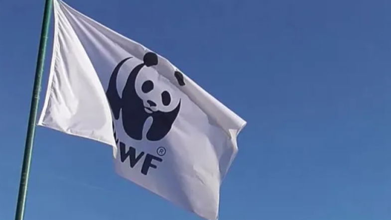 Legalità e ambiente sono un binomio indissolubile. Anche il Wwf manifesterà a Cassano
