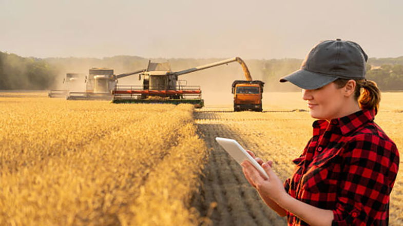 In Calabria l'agricoltura è sempre più 