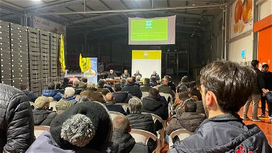 Politica agricola comune, Coldiretti Calabria è in pressing: «Servono risposte chiare, tempi certi e semplificazione»