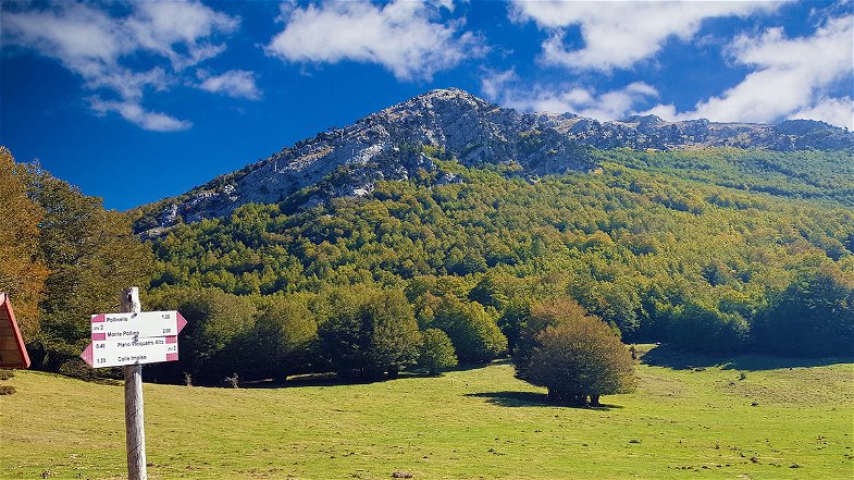 Parte #NoiSiamoPollino, il progetto per far conoscere e preservare i luoghi montani