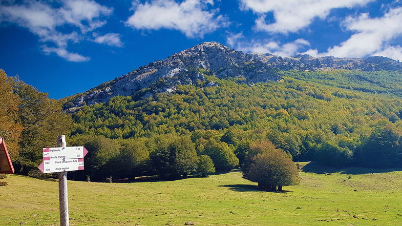 Parte #NoiSiamoPollino, il progetto per far conoscere e preservare i luoghi montani