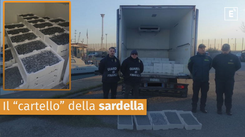 Altro maxi sequestro di sardella: fermato carico illegale da 17 quintali - VIDEO