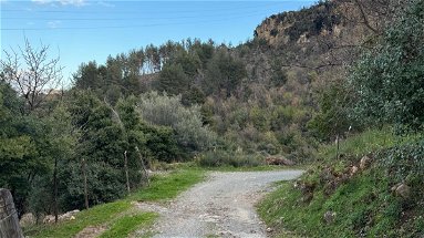 Caloveto, la strada Ferrante-Fiumarella verrà messa in sicurezza