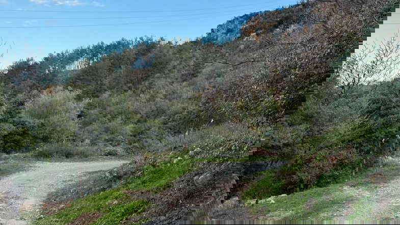 Caloveto, la strada Ferrante-Fiumarella verrà messa in sicurezza