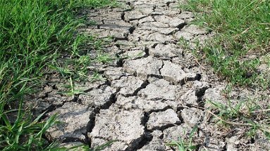 Allarme siccità, Smiriglia lancia l'appello al Consorzio di bonifica per disponibilità acque irrigue