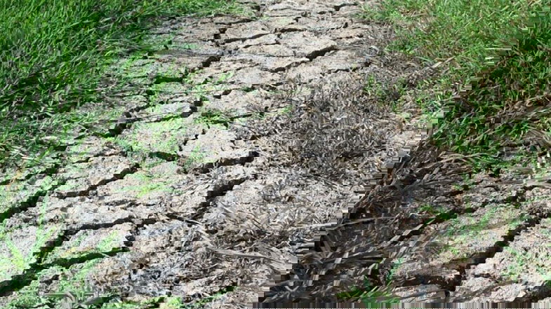 Allarme siccità, Smiriglia lancia l'appello al Consorzio di bonifica per disponibilità acque irrigue