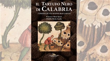 A Morano Calabro la presentazione del primo libro in letteratura dedicato al Tartufo Nero di Calabria