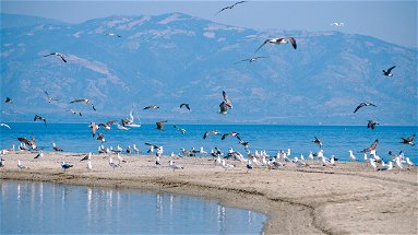 Valorizzare il mar Jonio, i Laghi di Sibari e la Riserva della Foce del fiume Crati