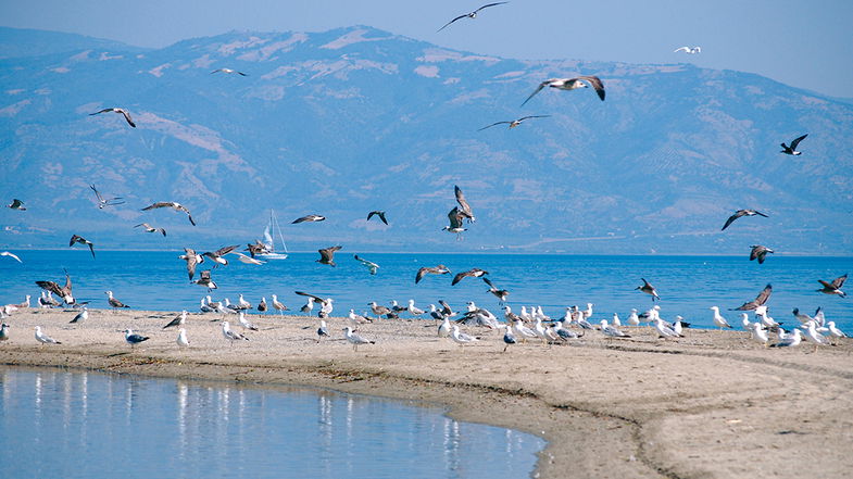 Valorizzare il mar Jonio, i Laghi di Sibari e la Riserva della Foce del fiume Crati