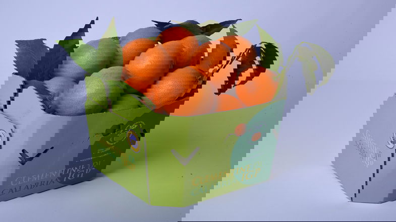 Il Consorzio Igp Calabria al Macfrut 2024 di Rimini con le Clementine