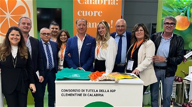 Il Consorzio di Tutela Clementine di Calabria Igp riporta risultati straordinari al Macfrut 2024