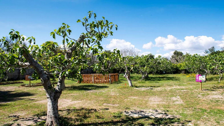 Il Wwf Co-Ro inaugura l'Aula Natura 