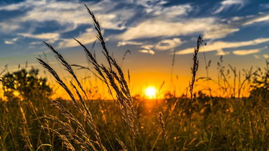 Solstizio d'estate e agroecologia sociale: a Castrovillari un evento esperienziale da non perdere