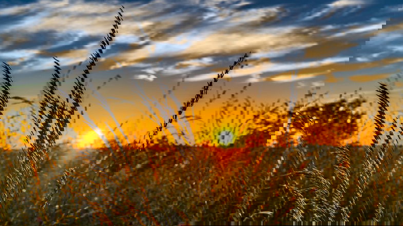 Solstizio d'estate e agroecologia sociale: a Castrovillari un evento esperienziale da non perdere